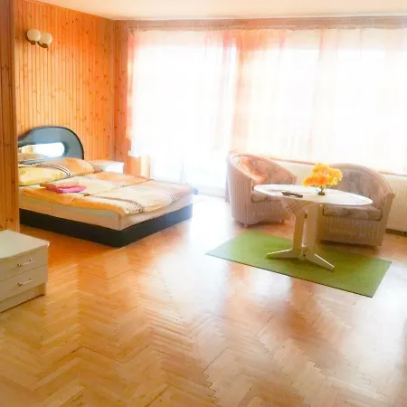 Bed & Breakfast Pensionatas Borowo