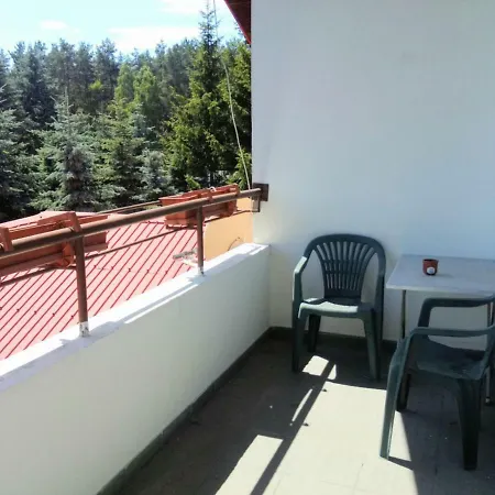 Pensionatas Bed & Breakfast Borowo