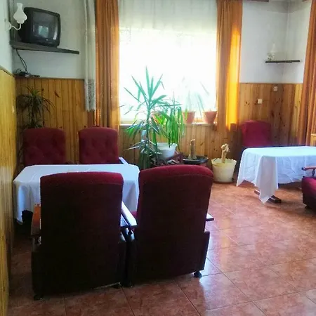 Bed & Breakfast Pensionatas Borowo
