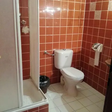 Pensionatas Bed & Breakfast Borowo
