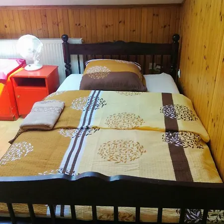 Pensionatas * Borowo