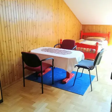 Bed & Breakfast Pensionatas Borowo